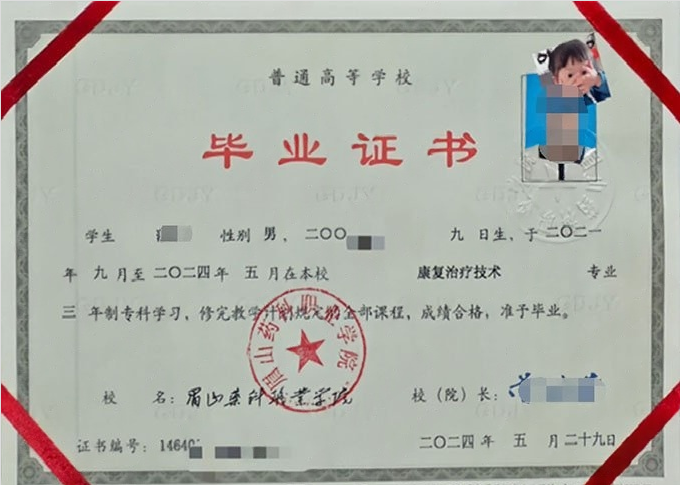 眉山药科职业学院2024年普通全日制专科毕业证书样本图片（康复治疗技术）